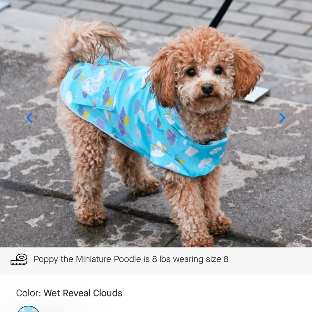 CANADA POOCH -(Color Changing)-WET REVEAL TORRENTIAL TRACKER h20 resistant
🚩NEW